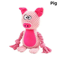 Pig