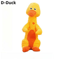 D-Duck