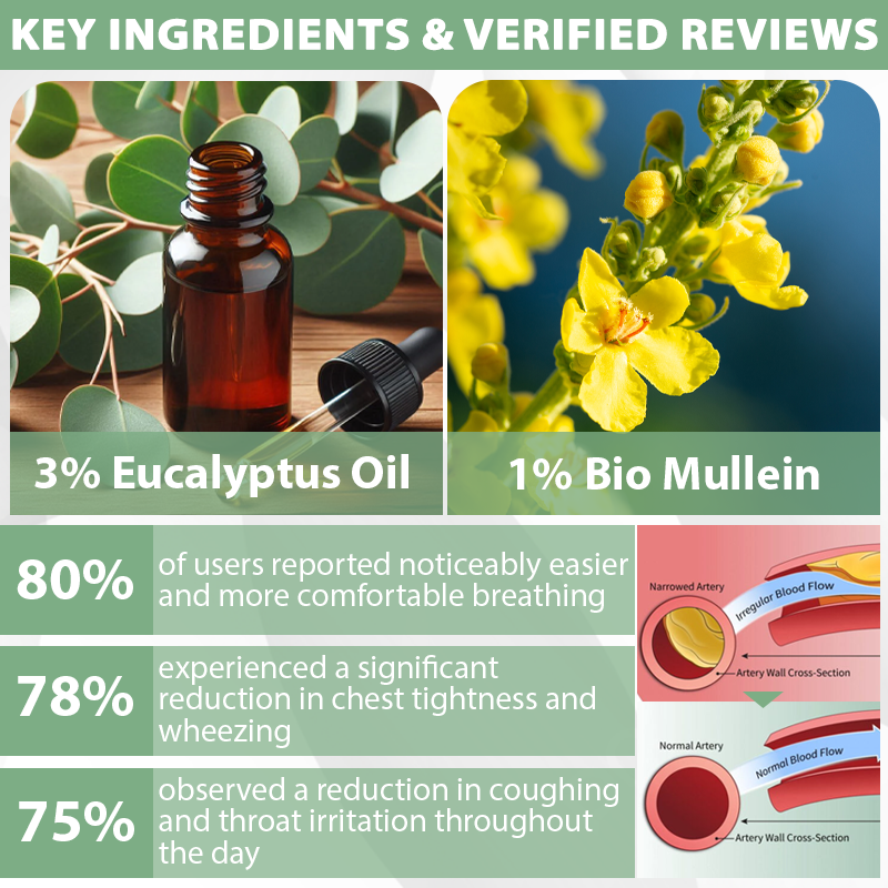 Seurico™ LungFlow Eukalyptus-Entgiftungsinhalator