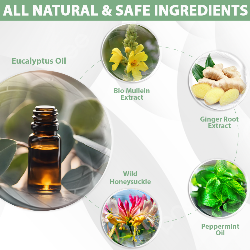 Seurico™ LungFlow Eukalyptus-Entgiftungsinhalator